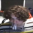 Thomasjjzzz