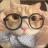 Damir_Bergov