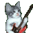 Solo Ferucchi