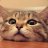 Richard_Costa
