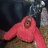 Kiril_HellWood