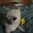 Miron_Baryshev