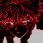 Lazzero_Triscary