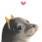 dismay_werma