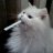 Burbon_DeWhite