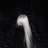 Theo_Samers