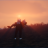 alex_sigitov