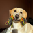 Samulay_1337
