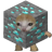 Tima_Gangy