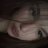 Kayl Lightful