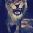 Stefano_Falcone