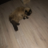 Ilyshka67monstr