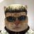Daniel_Rivals