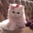 Lina_Corleone