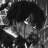 lxrd kassi