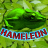 Hameleon Woody