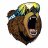 Dis_Grizzly